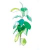 image:imageDalerRowney FW Pearlescent and Shimmering Liquid Acrylic Waterfall Green 1 oz