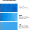 image:imageDaler Rowney System3 295ml 10Tube Fluid Acrylic Paint Set  Acrylic Pouring Paint Supplies for Artists and Students  Vivid HighFlow Artist Paint Set for Canvas Murals and MoreCoeruleum Blue Hue