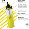 image:imageDaler Rowney System3 295ml 10Tube Fluid Acrylic Paint Set  Acrylic Pouring Paint Supplies for Artists and Students  Vivid HighFlow Artist Paint Set for Canvas Murals and MoreLemon Yellow