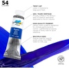 image:imageDaler Rowney System3 6Tube Acrylic Paint Set for Adults  Acrylic Painting Supplies for Artists and Students  Acrylic Paints for Murals Canvas and More  Art Paints for Any Skill Set10 Pack  Medium Body