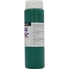 image:imageDALERROWNEYFILA CO 123500386 GRADUATE ACRYLIC 500ML PHTHALO GREEN