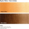 image:imageDalerRowney Aquafine Watercolor Paint Naples Yellow amp Burnt Umber
