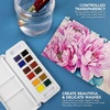 image:imageDalerRowney Aquafine Watercolor Paint Set Shayda Campbell Artist Palette Plastic Travel Set 24 Half Pans Assorted Colors 1 Count12 Count Pack of 1
