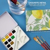 image:imageDalerRowney Aquafine Watercolor Paint Set Shayda Campbell Artist Palette Plastic Travel Set 24 Half Pans Assorted Colors 1 Count12 Piece Pack of 1