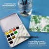 image:imageDalerRowney Aquafine Watercolor Paint Set Shayda Campbell Artist Palette Plastic Travel Set 24 Half Pans Assorted Colors 1 Count12 Piece Pack of 1