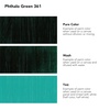 image:imageDalerRowney System3 Phthalo Green Heavy Body Acrylic Paint 59ml  Art Paint for Artists and Students  Artist Paint for Canvas Murals and More  Thick Acrylic Paint for All Skill Sets