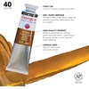 image:imageDaler Rowney GEORGIAN 37 ML667 RAW SIENNASIENNA OIL Orange Standard GIOTTO 119037667