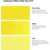image:imageDaler Rowney Georgian Oil Paint Cadmium Yellow Pale Hue 38ml Tube  Art Paints for Canvas Paper and More  Oil Painting Supplies for Artists and Students  Artist Oil Paint for Any Skill Set