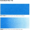 image:imageDaler Rowney Aquafine Watercolor Ink Coeruleum Hue 295ml  Versatile Liquid Watercolor Ink for Artists and Students  Use with Paint Brushes Technical Pens Airbrushes and Paint Markers