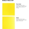 image:imageDalerRowney FW Acrylic Ink Bottle Scarlet  Versatile Acrylic Drawing Ink for Artists and Students  Permanent Calligraphy Ink  Archival Ink for Illustrating and MoreBrilliant Yellow
