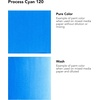 image:imageDalerRowney FW Acrylic Ink Bottle Scarlet  Versatile Acrylic Drawing Ink for Artists and Students  Permanent Calligraphy Ink  Archival Ink for Illustrating and MoreProcess Cyan