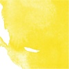 image:imageDaler Rowney Aquafine Watercolor Ink Cadmium Yellow 295ml  Versatile Liquid Watercolor Ink for Artists and Students  Use with Paint Brushes Technical Pens Airbrushes and Paint Markers