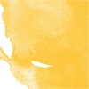 image:imageDalerRowney Aquafine Watercolor Ink Cadmium Yellow Deep Hue 295ml  Versatile Liquid Watercolor Ink for Artists and Students  Use with Paint Brushes Technical Pens Airbrushes and Paint Markers