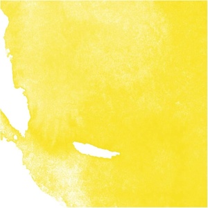 image:imageDaler Rowney Aquafine Watercolor Ink Cadmium Yellow 295ml  Versatile Liquid Watercolor Ink for Artists and Students  Use with Paint Brushes Technical Pens Airbrushes and Paint Markers
