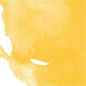 image:imageDalerRowney Aquafine Watercolor Ink Cadmium Yellow Deep Hue 295ml  Versatile Liquid Watercolor Ink for Artists and Students  Use with Paint Brushes Technical Pens Airbrushes and Paint Markers