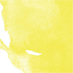 image:imageDalerRowney Aquafine Watercolor Ink Lemon Yellow 295ml  Versatile Liquid Watercolor Ink for Artists and Students  Use with Paint Brushes Technical Pens Airbrushes and Paint Markers