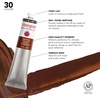 image:imageDaler Rowney Georgian Water Mixable Oil Paint Burnt Sienna 200ml Tube  Art Paints for Canvas Paper and More  Oil Painting Supplies for Artists and Students  Artist Oil Paint for Any Skill Set676 Fl Oz Pack of 1
