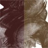 image:imageDalerRowney Aquafine Watercolor Paint Vandyke Brown Hue amp Raw Umber